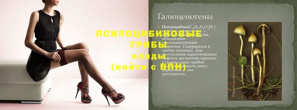 крисы Арсеньев