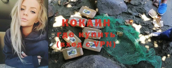 крисы Арсеньев